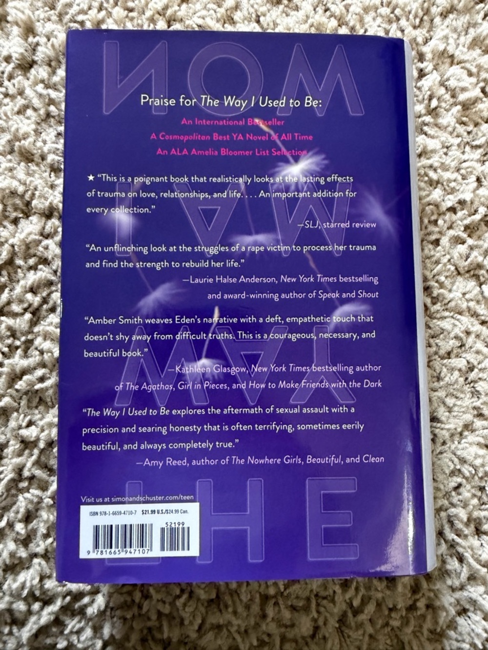 The Way I Used to Be & The Way I Am Now by Amber Smith (2-Book Series) - Picture 6 of 6